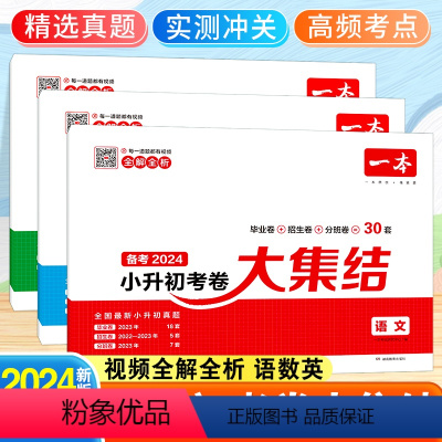 [备考2024-3本]语文+数学+英语 小学升初中 [正版]2024新小升初考卷大集结语文数学英语一本小学毕业升学考卷大