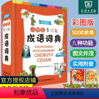 [正版]2023年小学生彩图版中华成语大词典多功能成语训练四字词语大全四字成语解释成语接龙故事大词典不是版