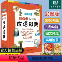 [正版]2023年小学生彩图版中华成语大词典多功能成语训练四字词语大全四字成语解释成语接龙故事大词典不是版