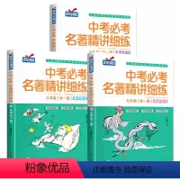[初中全3册]中考必考名著精讲细练 初中通用 [正版]初中生中考必考名著精讲细练初中名著导读考点精练七八九年级上下册必读