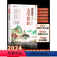 小学生必背文学常识 [正版]小学必背文学常识积累大全彩图版一二三四五六年级语文文学常识基础知识百科全书中国古现代文学常识