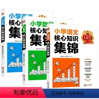 英语 小学通用 [正版]小学核心知识集锦语文数学英语知识大盘点一二三四五六年级基础手册日积月累小升初大集结暑假一本通阅读