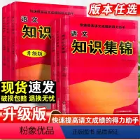 语文[全国通用] 小学通用 [正版]小学知识集锦语文全国人教部版编江苏湖南山西陕西广东小升初总复习资料一二三四五六年级基