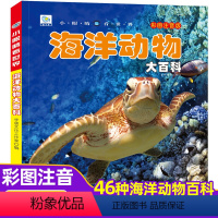海洋动物大百科(铜版纸加厚本) [正版]儿童百科全书注音版科普启蒙绘本类图画恐龙动物世界大百科海底海洋生物鱼昆虫小鸟类带