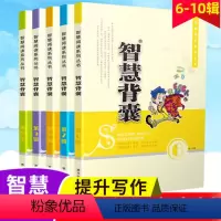 智慧背囊经典版(全5册) 初中通用 [正版]备考智慧背囊精华版全套初中高中生版作文素材大全集小学生高年级语文写作技巧阅读