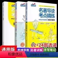 名著导读12部+24部+考点[3册] 初中通用 [正版]名著导读考点精练初中生阅读中外名著书籍 七八九年级状元笔记大语文