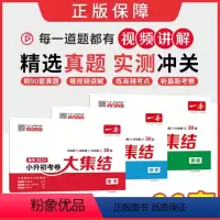 考卷大集结[语数英] 小学升初中 [正版]2024新小升初冲刺新卷考卷大集结语文数字英语全国通用全套名校冲刺练习册小升初