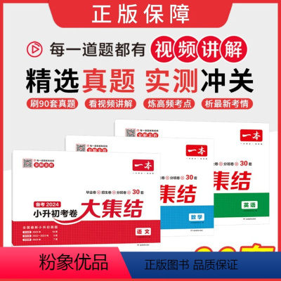 考卷大集结[语数英] 小学升初中 [正版]2024新小升初冲刺新卷考卷大集结语文数字英语全国通用全套名校冲刺练习册小升初