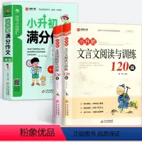 [全3册]小升初满分作文+古诗词+文言文阅读与训练120篇 小学升初中 [正版]2024新小升初满分作文大全人教版小学六