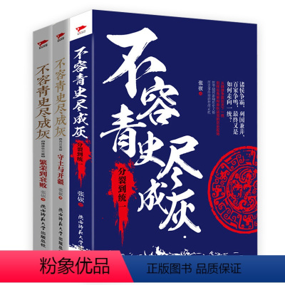 [正版]共3册不容青史尽成灰:分裂到+守土与开疆+繁荣到衰败张嵚著中国大历史两汉春秋战国魏晋南北朝隋唐宋元朝历史中国通