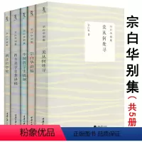 [正版]美从何处寻+宗白华讲稿+西方美学名著译稿+中国哲学史提纲+西洋哲学史宗白华别集全5册