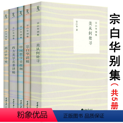 [正版]美从何处寻+宗白华讲稿+西方美学名著译稿+中国哲学史提纲+西洋哲学史宗白华别集全5册