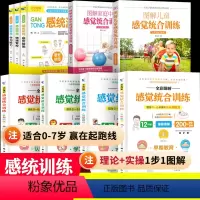 [正版]9册完全图解感觉统合训练书籍0-12岁儿童注意力婴幼儿视觉听觉感统游戏专注力男女孩多动症指南手册蒙台梭利智力启
