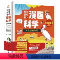 越看越想看的漫画科学飞鸟观察笔记 [正版]全4册越看越想看的漫画科学飞鸟观察笔记 雷顿的新化身 两只小笨鸟 候鸟万里