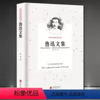 [正版]鲁迅文集 小学生课外阅读书籍 五六七年级阅读初中生世界名著 呐喊孔乙己药 故乡阿Q正传论雷峰塔的倒掉 鲁迅书从