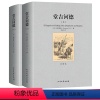 唐吉诃德世界名著外国小说现当代文学 [正版]全译本800页堂吉诃德上下册 塞万提斯著人民文学出版社完整版唐吉诃德世界名著