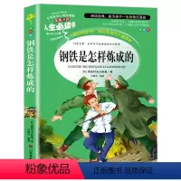 钢铁是怎样炼成的 [正版]钢铁是怎样炼成的原著完整小学生三四五六年级必读课外书籍老师阅读经典儿童文学世界名著小说故事