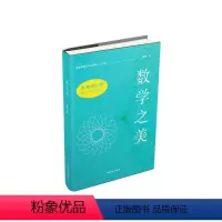 [正版]大字护眼版 思考的乐趣Matrix67数学笔记—数学之美 中国盲文出版社