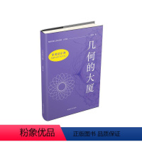 [正版]几何的大厦:大字版 顾森 书 数学书籍 思考的乐趣Matrix67数学笔记—几何的大厦(大字版)