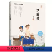 [正版]芝麻糖:黄蓓佳童眸系列大字版黄蓓佳倾情小说儿童长篇小说6-14黄蓓儿童文学系列中小学生三四五六年级课外阅读书籍