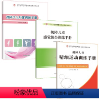 [正版]3册 视障学生形态训练手册+视障儿童精细运动+感觉统合训练手册 视力保护器 反转拍视力训练 缓解眼疲劳改善视力