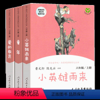 快乐读书吧 六年级上册_全套3册 [正版]快乐读书吧六年级上册 爱的教育小英雄雨来童年人民教育出版社曹文轩小学语文六年级