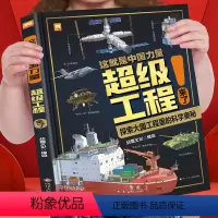 这就是中国力量超级工程来了 [正版]这就是中国力量超级工程来了