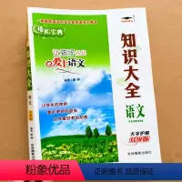 小学语文知识大全 小学通用 [正版]小学语文知识大全 小学语文人教版阶段基础工具书课内外阅读技巧写作方法大盘点升级全国版