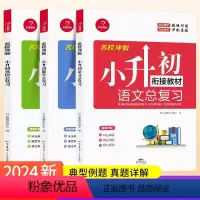 [3本]语数英总复习 小学通用 [正版]2024小升初语文数学英语总复习知识大全六年级下册名师帮你小学升初中系统总复习人