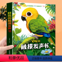 好玩的触摸发声书[单本] [正版]Baby触摸书 婴儿0-1岁绘本早教宝宝一岁撕不烂洞洞书籍适合2岁幼儿认知水果蔬菜启蒙