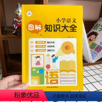 小学语文知识大全 小学通用 [正版]小学语文知识大全