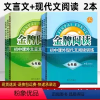 金牌阅读 现代文+文言文 (2本套) 九年级/初中三年级 [正版]金牌阅读七八九年级上下册语文阅读理解专项训练 初中文言