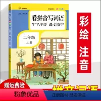[正版]看拼音写词语生字注音课文填空二年级上册 人教版 小学生字词同步训练练习册 彩绘注音 小学2上语文教辅资料书天天