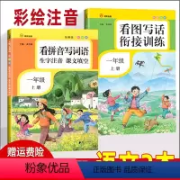 [正版]一年级上册看图写话衔接训练 看拼音写词语生字注音课文填空共2本 人教版 小学语文同步训练练习册看图说话教辅天天