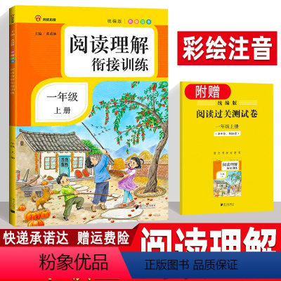 [正版]小学语文阅读理解衔接训练一年级上册 彩绘注音 衔接课外阅读训练书 真题模拟题专项训练题 小学生1上辅导学习资料