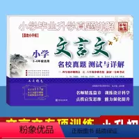 小学文言文(3-6年级) 小学升初中 [正版]小升初文言文专项训练测试卷真题名校分班卷 语文阅读理解试卷人教版 小学毕业