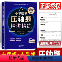 数学 小学升初中 [正版]小学数学压轴题精讲精练 六年级+小升初 6六上册下册数学练习题专项训练辅导资料书通用版 小学升