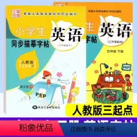 英语 人教版三起点 小学五年级 [正版]小学英语同步练字帖五年级上册下册 人教版三起点PEP 小学生写字课课练硬笔钢笔楷