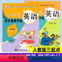 英语 人教版三起点 小学六年级 [正版]小学英语同步练字帖六年级上册下册 人教版三起点PEP 笔墨先锋小学生写字课课练硬