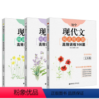 周计划 现代文 789年级(3本) 初中通用 [正版]初中课外文言文阅读周计划高效训练120篇七年级八年级九年级中考中学