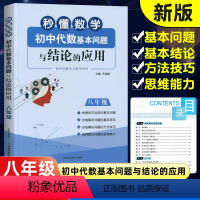 数学 [正版]秒懂数学初中代数基本问题与结论的应用八年级 8年级上下册数学新思维同步强化训练练习题 初二代数专项训练bi