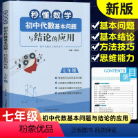 数学 [正版]秒懂数学初中代数基本问题与结论的应用七年级 7年级上下册数学新思维同步强化训练练习题 初一代数专项训练bi