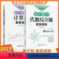[代数综合题+几何+计算题]3本 全国通用 [正版]周计划初中数学九年级中考代数综合题高效训练答案详解版初三上下册数学专
