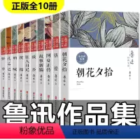 [正版]10册鲁迅全集呐喊中国经典文学狂人日记彷徨朝花夕拾鲁迅原著小说全集书籍野草鲁迅杂文集散文集故事新编阿q正传鲁迅
