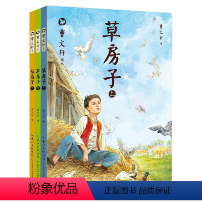 草房子(上中下)-三册 [正版]草房子彩色图案插图版小学生必读课外阅读书籍故事书6-12周岁三四五年级课外阅读书草房子小