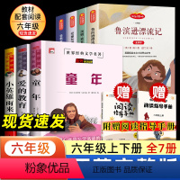 六年级上册必读+六年级下册必读--共7册 [正版]新版爱的教育小英雄雨来童年书高尔基原著完整版小学生六年级上册快乐读书吧