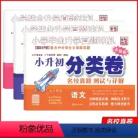 真题详解.语文+数学+英语[3本] 小学升初中 [正版]2024新版小学毕业升学真题详解语文数学英语真题测试卷人教版小升