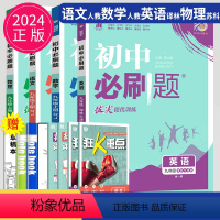 语数英物九年级上 南通专用 九年级/初中三年级 [正版]2023新版初中九年级上册下册数学英语化学物理九下人教版苏科版苏