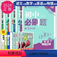 语数英物九年级上 南通专用 九年级/初中三年级 [正版]2023新版初中九年级上册下册数学英语化学物理九下人教版苏科版苏