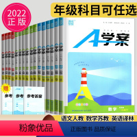 语文+数学+英语 三年级下 [正版]2022春新版通城学典A学案一二三四五六年级下语文数学英语任选江苏 小学同步专项训练